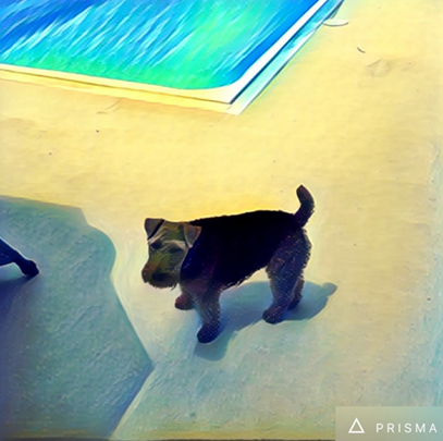 prisma怎么保存图片 prisma保存图片方法分享